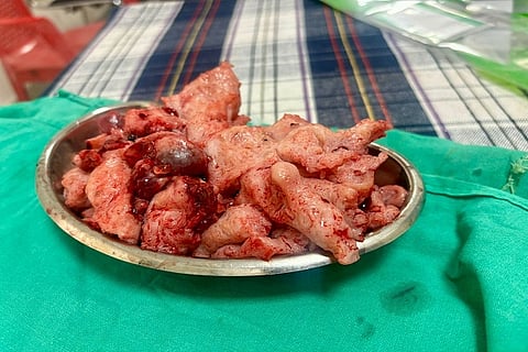 h6-chitaguppi