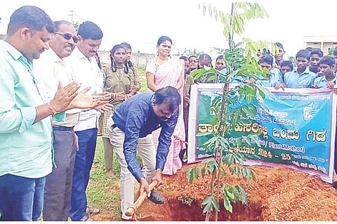 hbhalli Planting