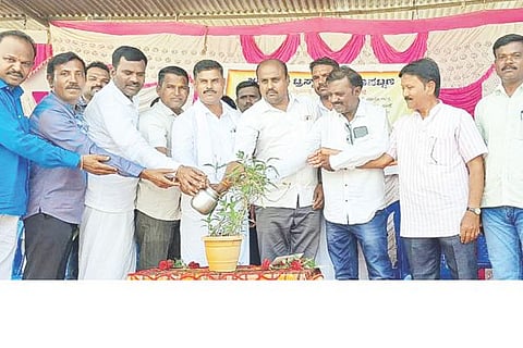 hbhalli Trust nws
