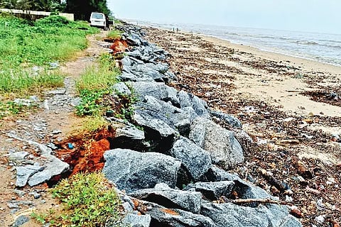 kadalkoreta