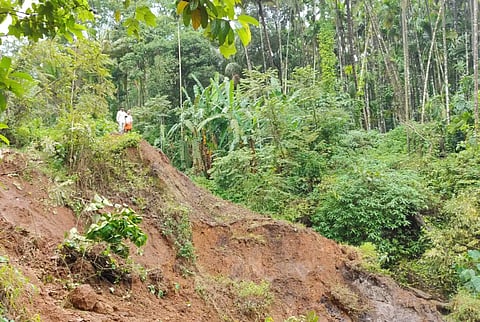 kalache land slude