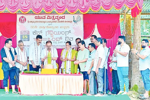 kesru gaddi