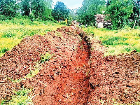 land, clearing, farmer, opposition,