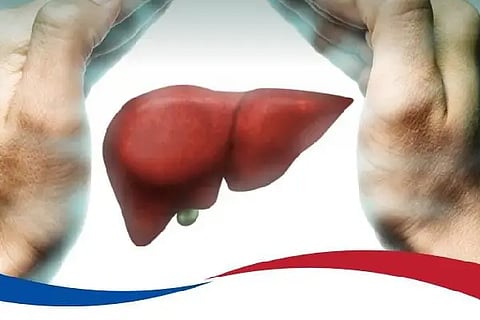 liver
