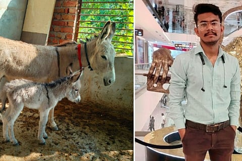 man sells donkey milk earns Rs 2-3 lakh a month