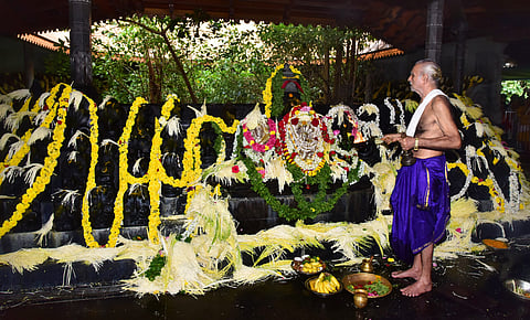 mng-aug9-kudupu21