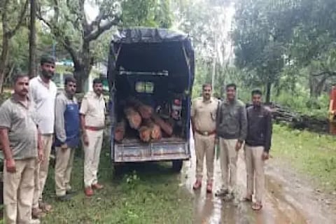 naata smuggling