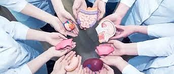 organ donation