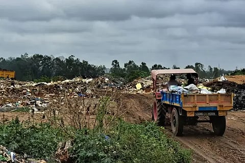 palike debris