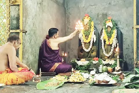 panja degula