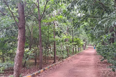 park
