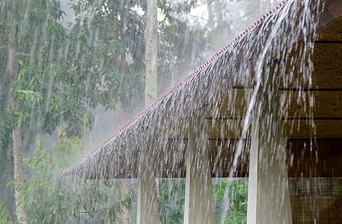 rain