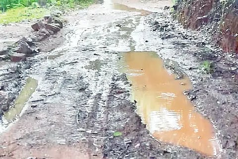 rain water