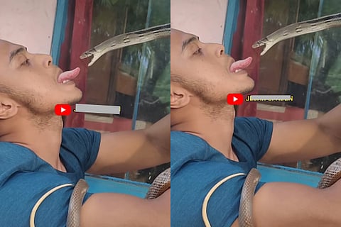 snake video viral
