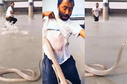 snake video viral
