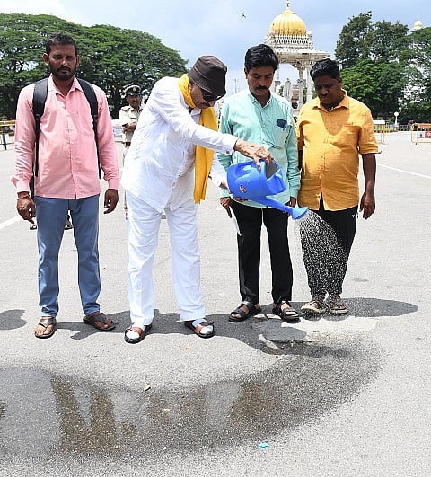 mysore