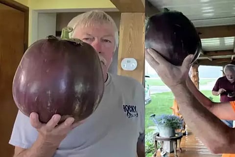worldsbiggesteggplant