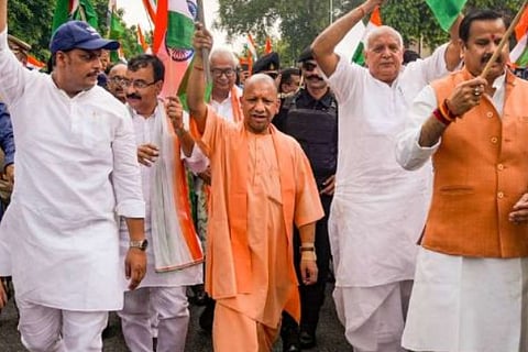 yogi