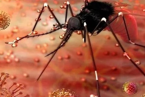 zika