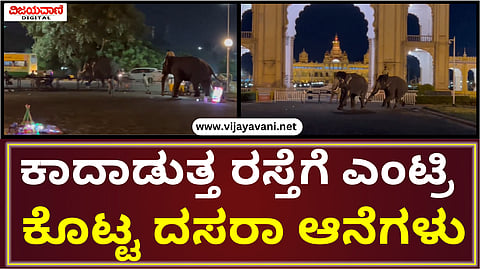 ಕಿಜ