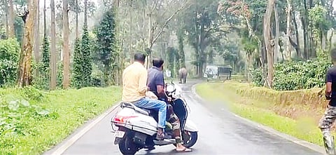ವಾಹನಗಳ ಮೇಲೆ ದಾಳಿಗೆ ಕಾಡಾನೆ ಯತ್ನ