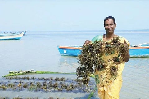 ವಿಜಯವಾಣಿ (1)