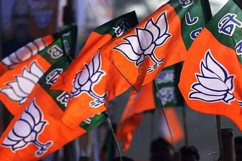 issues in bjp