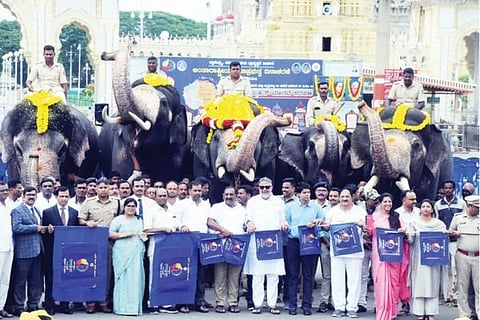 ವಿಜಯವಾಣಿ (6)