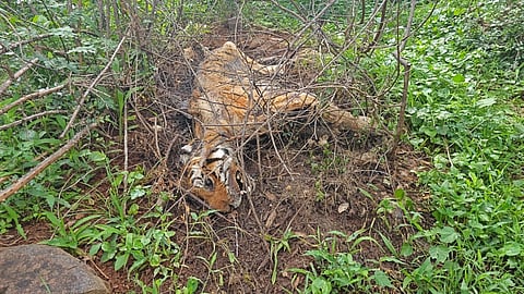 24rajesh6