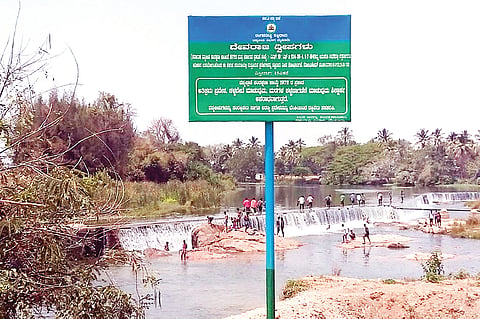 31-SRP-01