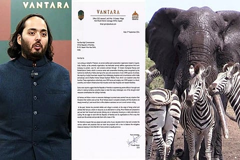 Anant Ambani’s Vantara