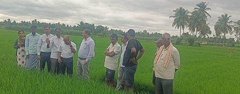 Crop pest awareness by scientists Mandya