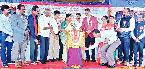 D.5-MDG-3P1 teachers