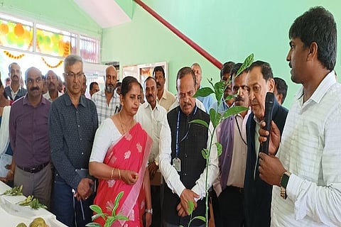 Drive for revival of orange in Kodagu