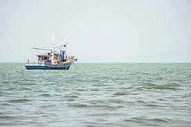 FISH BOAT