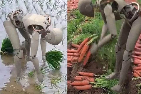 Farmer Robot