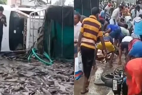 Fish Truck Accident