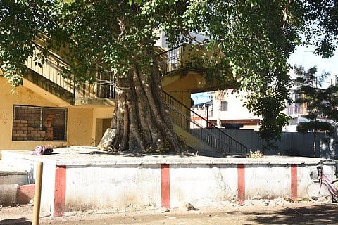 GANDHIJI VISIT (7)