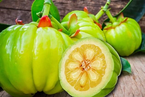 Garcinia Cambogia