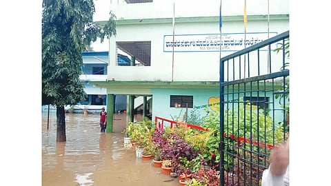 HLY RAIN