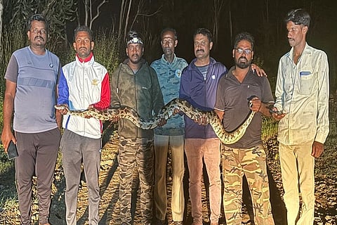 Hebbavu
