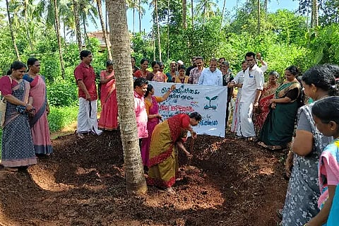 Ksd_Coconut