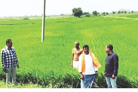 Kurgodu Koorige