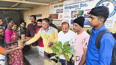 Medicinal Plant Distribution Mandya