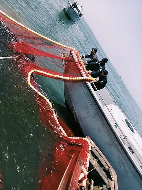 Navy problems