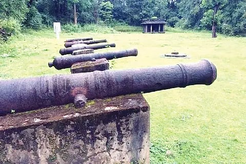 SIRSI STORY