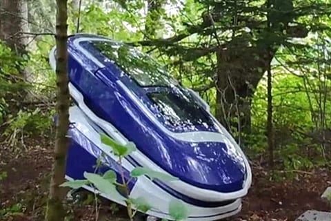 Sarco pod