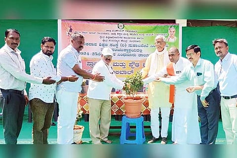 Sindhanour walibal turnment