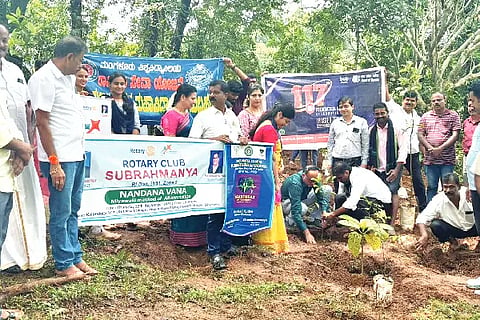 Sub_Nandanavana