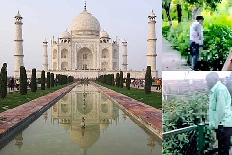 Taj Mahal Urinating
